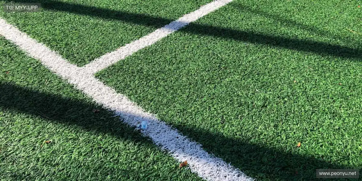 📺 高清直播,零延迟体验!每一个进球,都让你心跳加速⚽